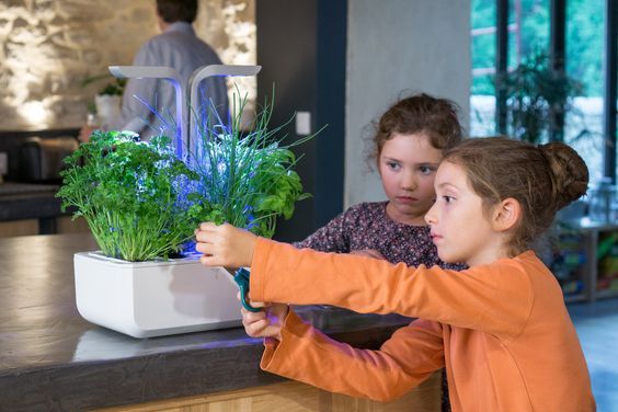 Enseña a tus hijos el cultivo sostenible con los huertos inteligentes.