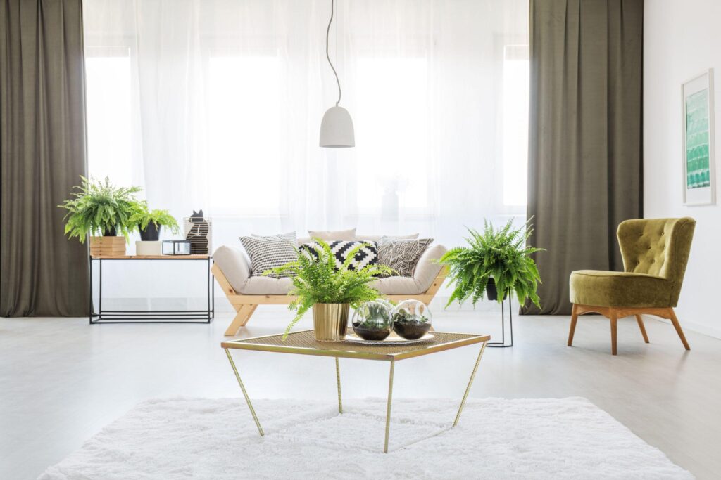 Everything plants can do for you in your home