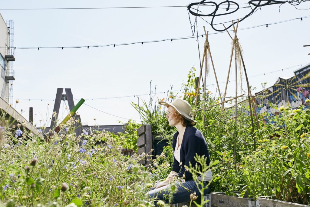 Urban gardens: a natural oasis in the heart of the city