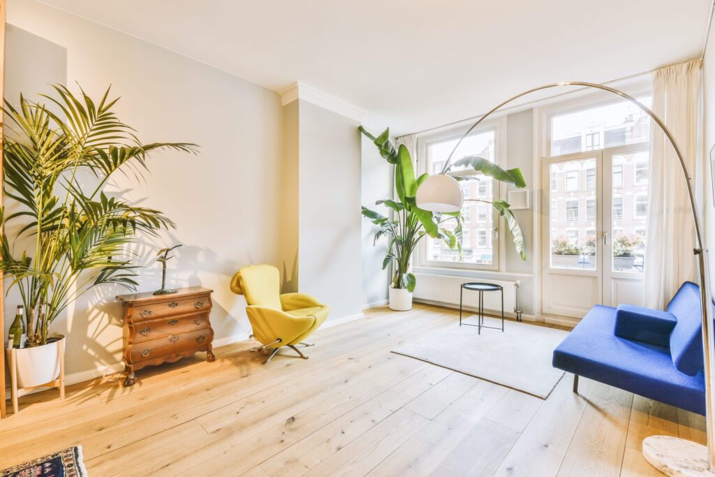 Why having plants in your home improves your quality of life