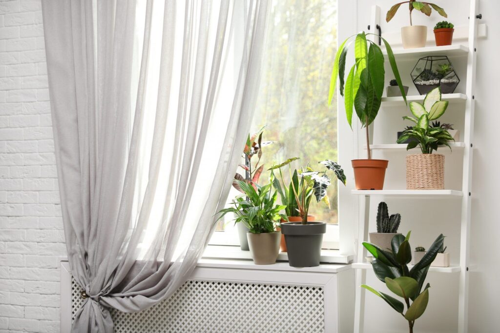 Si buscas alquiler de vivienda… ¡sigue las siguientes recomendaciones!